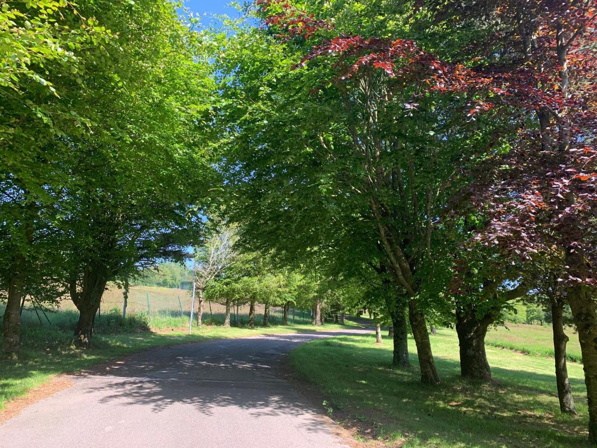 Fernhill Lodge Carrigaline Exteriér fotografie